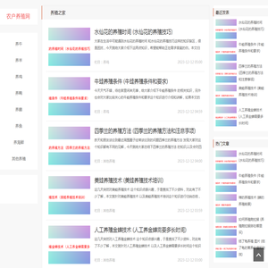 网站截图