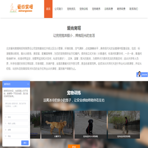 网站截图