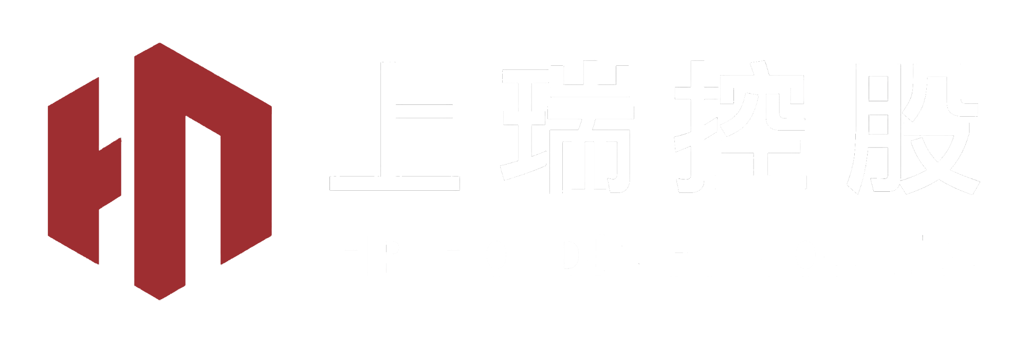 上瑞控股