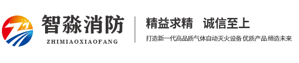 气体灭火系统