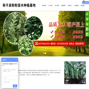 新干县盼盼苗木种植基地