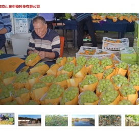 南京山泉生物科技有限公司