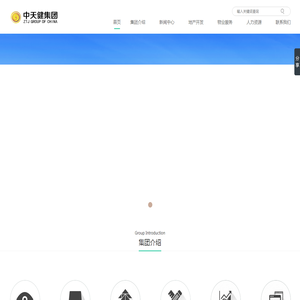 中天健集团