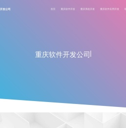 重庆软件外包公司