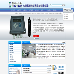 大连欣美特仪表科技有限公司