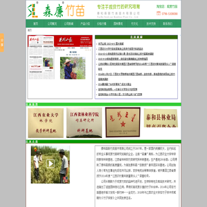 森廉竹苗,专注于观赏竹培育,泰和森联竹类苗木有限公司