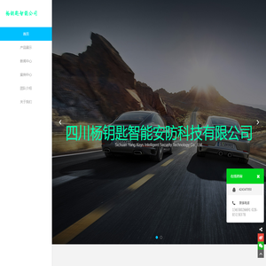 四川杨钥匙智能安防科技有限公司