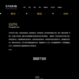 深圳市首脑美容美发艺术有限公司
